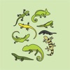 Animals : Reptiles Quiz - iPhoneアプリ