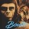 Boulle Editions is a Field Guide for aiding collectors to visually identify the First Edition novels and works of Pierre Boulle (famous for "Planet of the Apes", "Bridge over the River Kwai" and other World War II and fiction stories)