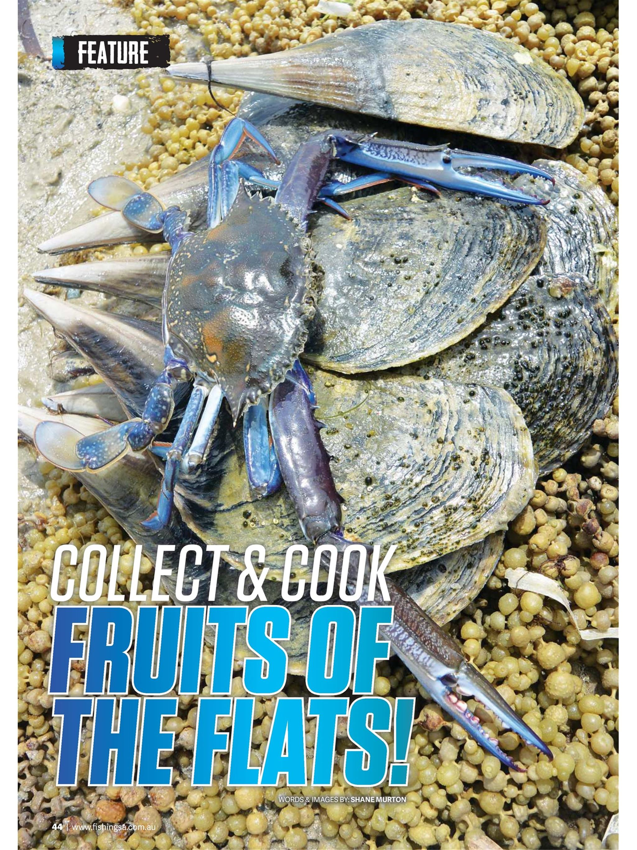 Fishing SA magazine screenshot 18