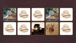 kid safari concentration problems & solutions and troubleshooting guide - 3