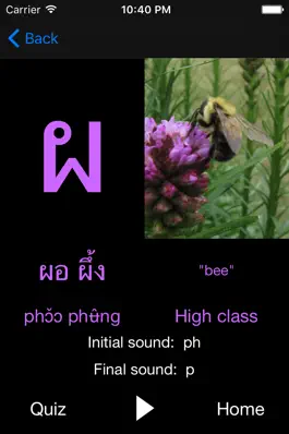 Game screenshot Read Thai Alphabet hack