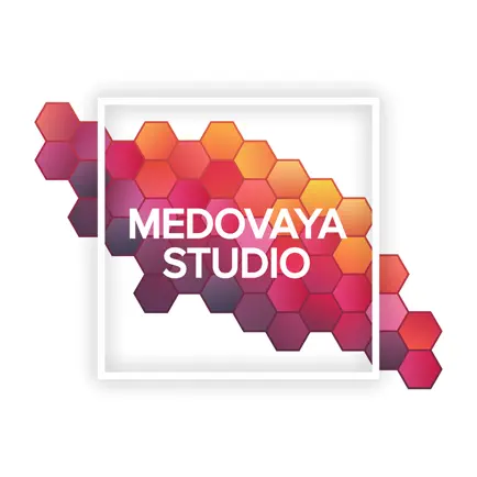 MEDOVAYA STUDIO Читы