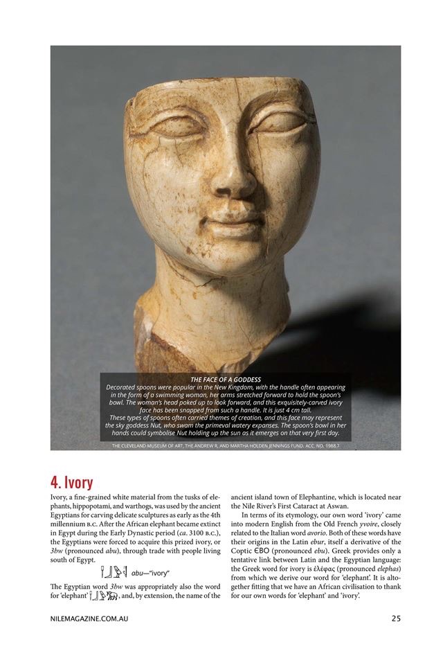 Nile Magazine screenshot 4