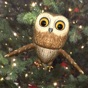 Rocky Owl AR app download