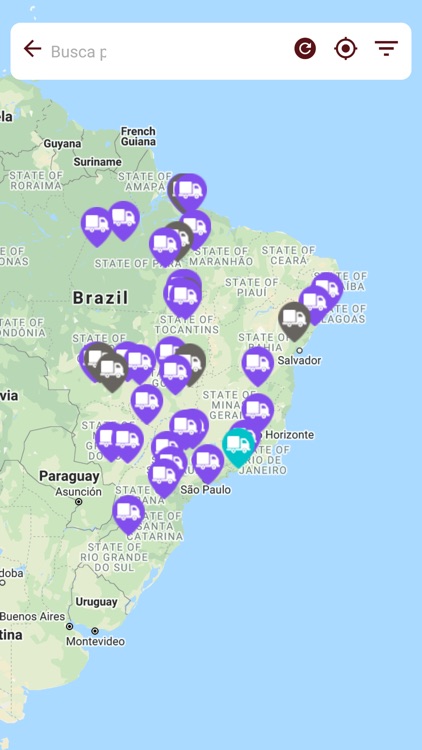 Transpanorama Gerencial