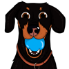 CrusoeMoji - Dachshund sticker - Cristian Cendon Marquez