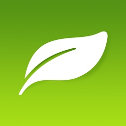 智慧农业-中国油茶大数据云平台