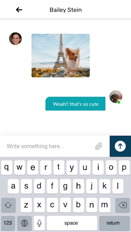 Pet Traveler screenshot-4