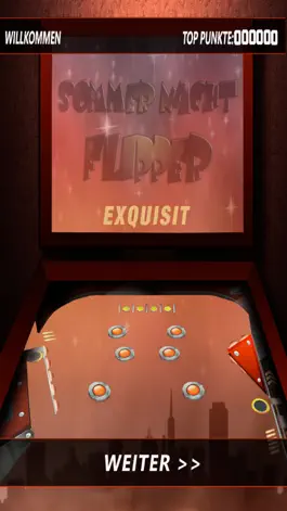 Game screenshot Sommer Nacht Flipper mod apk
