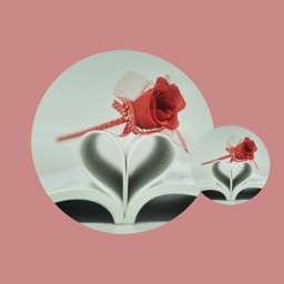 Daily Family Meetings Record