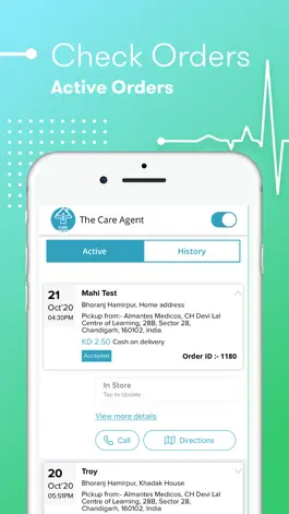 Game screenshot The CARE Agents hack