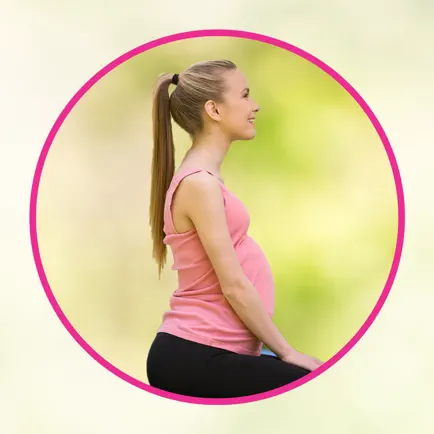 SchwangerFit Light Читы