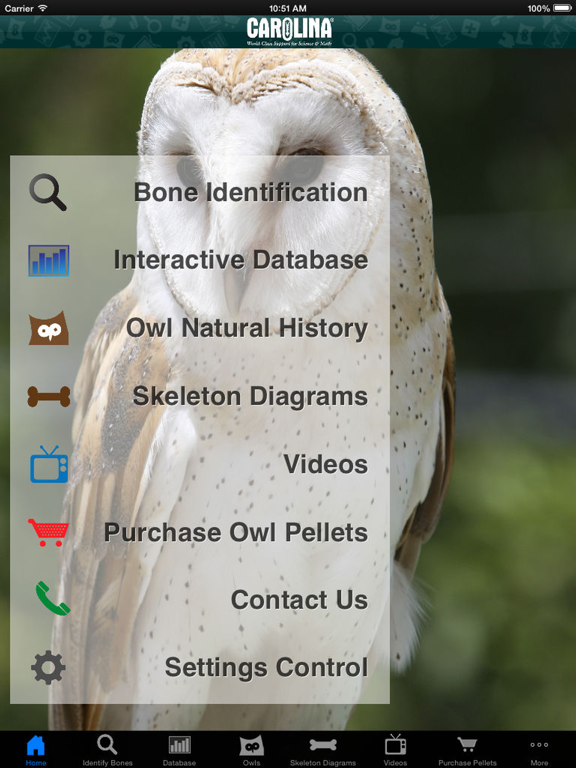 Screenshot #4 pour Owl Pellet Activities HD