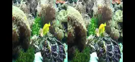 Game screenshot Aquarium Videos 3D hack