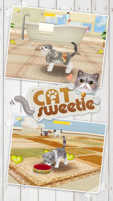 Cat Sweetie Screenshot