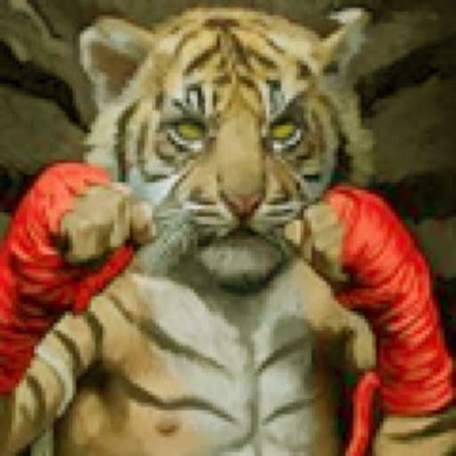 Tiger Punch : beat em up story