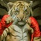 Tiger Punch : beat em up story