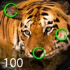 Spot the Differences 100 icon