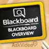 Overview for Blackboard Learn App Delete