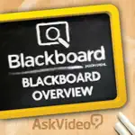 Overview for Blackboard Learn App Contact