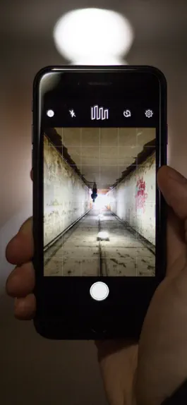 Game screenshot LF Companion mod apk