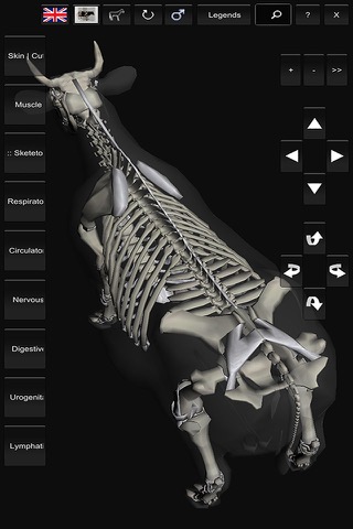 3D Bovine Anatomyのおすすめ画像2