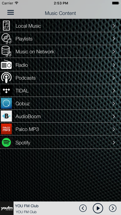 Screenshot #1 pour DStream Air