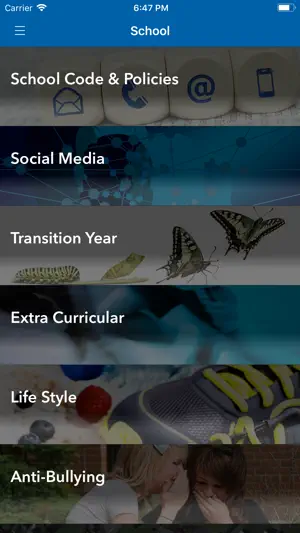 Ursuline College Blackrock screenshot 2