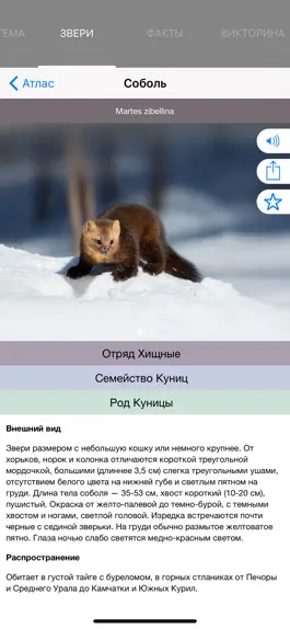 Game screenshot Экогид - Звери apk