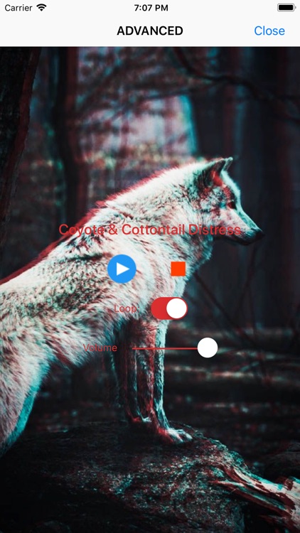 Coyote Calls - Hunting Sounds