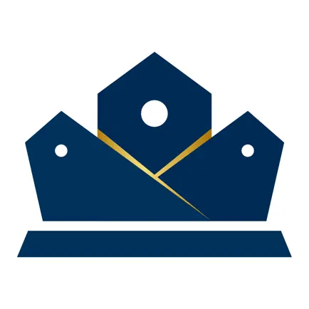 KingTag Читы