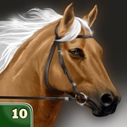 Top 50 Games Apps Like My Horse Life Story Quiz Game - Best Alternatives