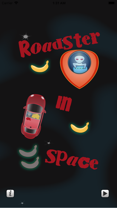 Roadster In Space Screenshot 1