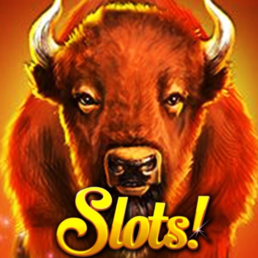 Slots - Double Fortune Classic Icon