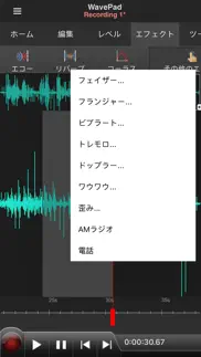 wavepad音声編集ソフト iphone screenshot 4