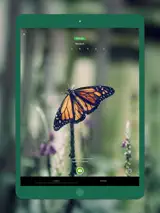 Seek by iNaturalist 2