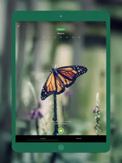 Seek by iNaturalist iPad image 2