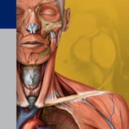 Thieme Anatomy on the Go 2.0 - English