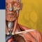 Expand your mobile medical library with Thieme Anatomy on the Go 2