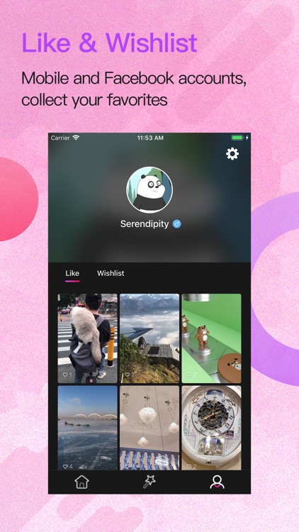 Serendipity Video screenshot-3