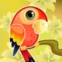 Talking Parrot Repeater app download
