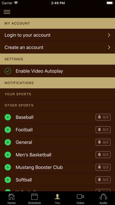 SMSU Athletics Screenshot