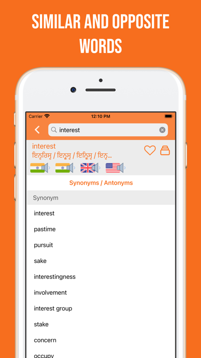 Punjabi and English Dictionary Screenshot