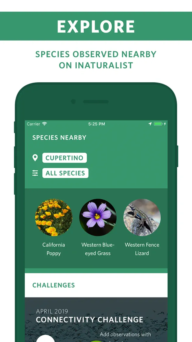 Seek by iNaturalist, App Store screenshot 5