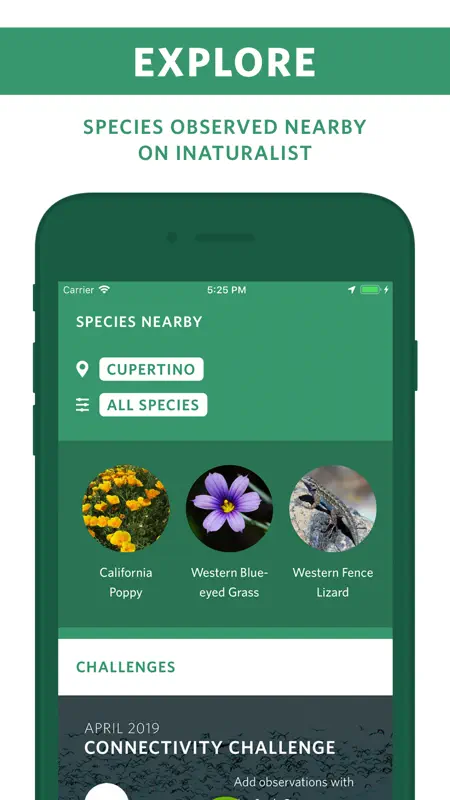 Seek by iNaturalist screenshot 5 of 6