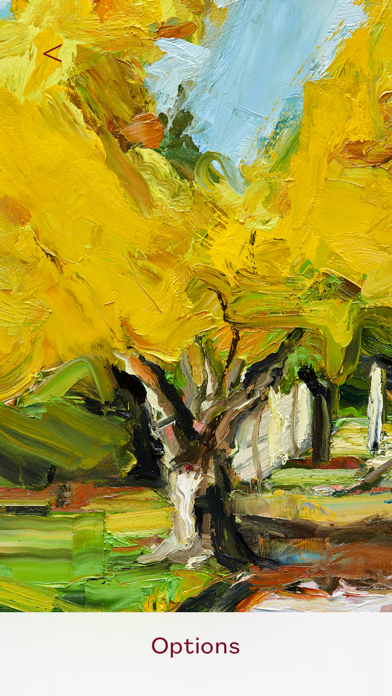MICHAEL REID GALLERY Screenshot