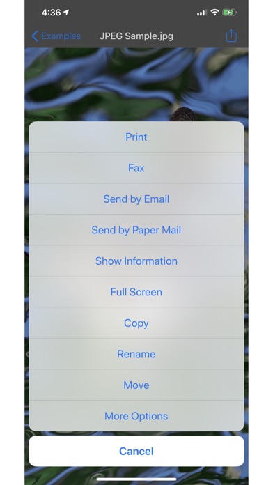 Print Online Pro (with Fax, Print-to-Postal Mail, send Real Postcards and More) Screenshot 3