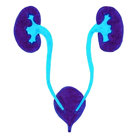 Urology for Medical Students Cheats