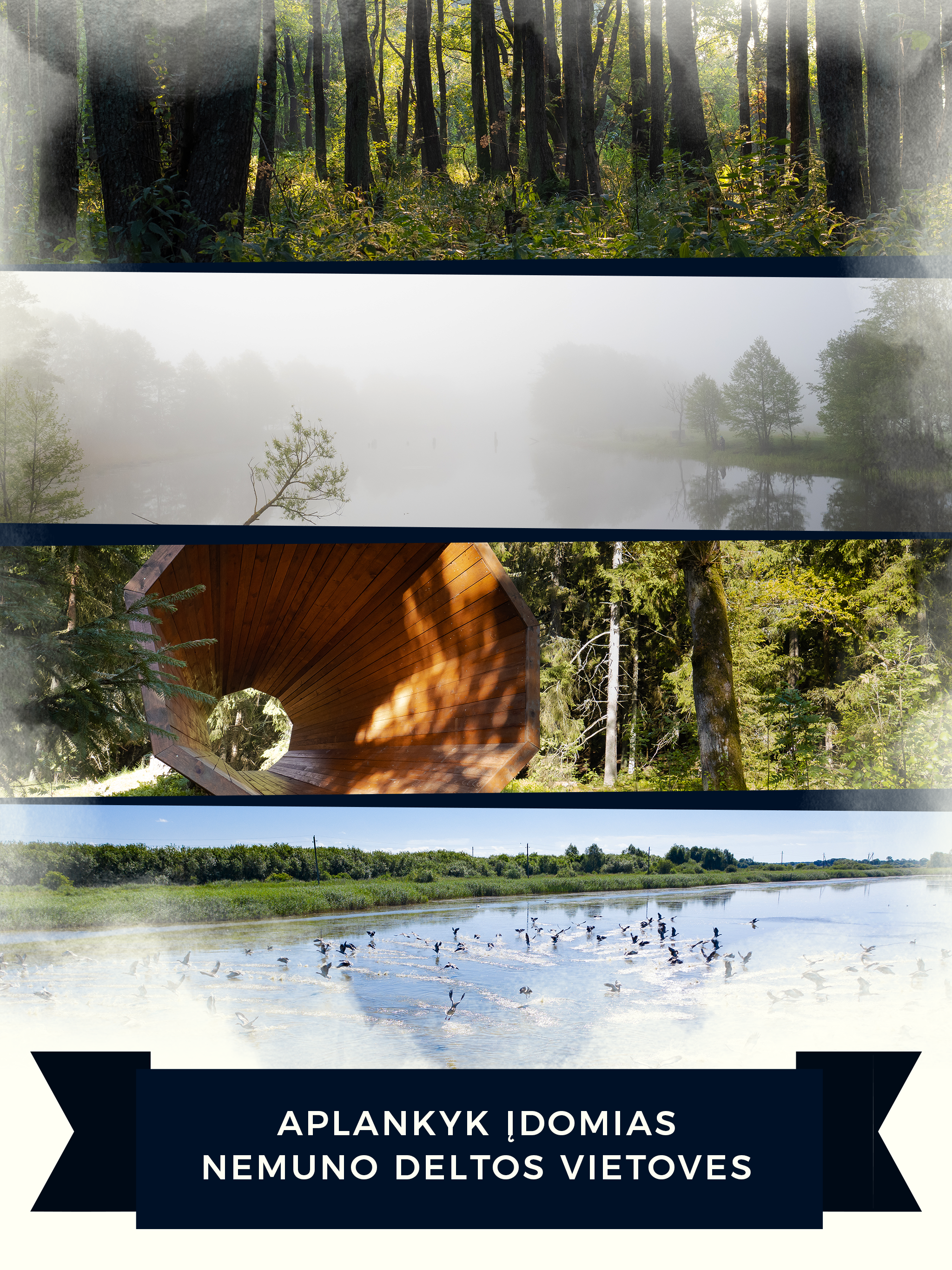 Birds Routes