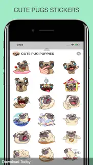 cute pug puppies problems & solutions and troubleshooting guide - 4